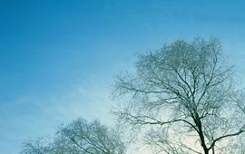 短信轰机轰炸app下载